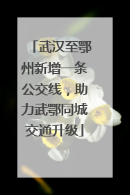 武汉至鄂州新增一条公交线，助力武鄂同城交通升级