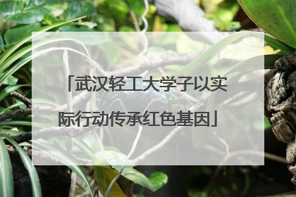 武汉轻工大学子以实际行动传承红色基因