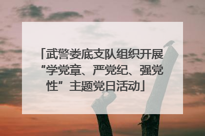 武警娄底支队组织开展“学党章、严党纪、强党性”主题党日活动