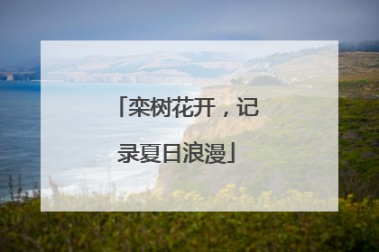 栾树花开，记录夏日浪漫