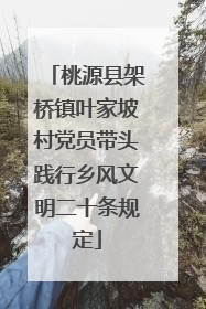 桃源县架桥镇叶家坡村党员带头践行乡风文明二十条规定