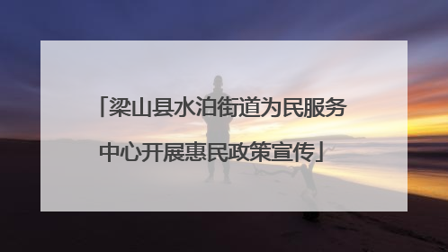 梁山县水泊街道为民服务中心开展惠民政策宣传