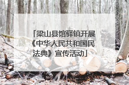 梁山县馆驿镇开展《中华人民共和国民法典》宣传活动