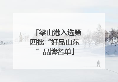 梁山港入选第四批“好品山东”品牌名单