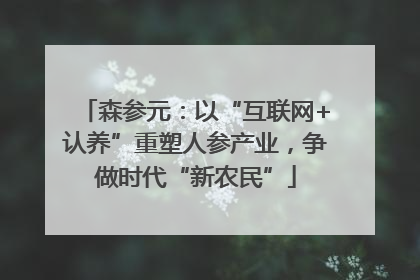 森参元：以“互联网+认养”重塑人参产业，争做时代“新农民”