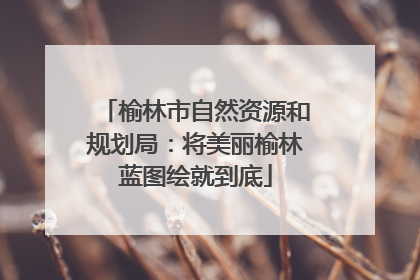 榆林市自然资源和规划局：将美丽榆林蓝图绘就到底