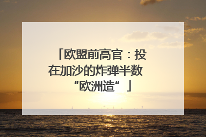 欧盟前高官：投在加沙的炸弹半数“欧洲造”