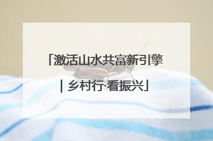 激活山水共富新引擎｜乡村行·看振兴