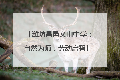 潍坊昌邑文山中学：自然为师，劳动启智