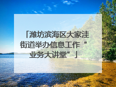 潍坊滨海区大家洼街道举办信息工作“业务大讲堂”