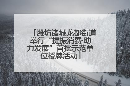 潍坊诸城龙都街道举行“提振消费·助力发展”首批示范单位授牌活动