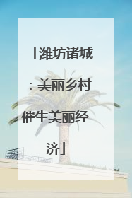 潍坊诸城：美丽乡村催生美丽经济