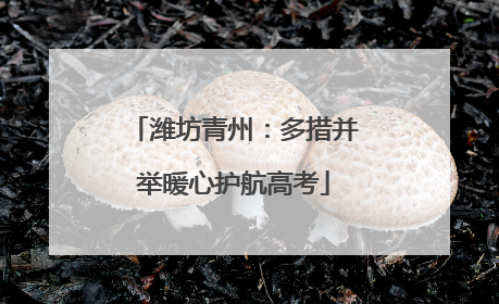 潍坊青州：多措并举暖心护航高考