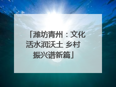 潍坊青州：文化活水润沃土 乡村振兴谱新篇