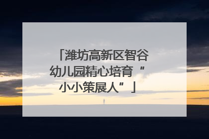 潍坊高新区智谷幼儿园精心培育“小小策展人”