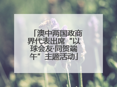 澳中两国政商界代表出席“以球会友·同贺端午”主题活动