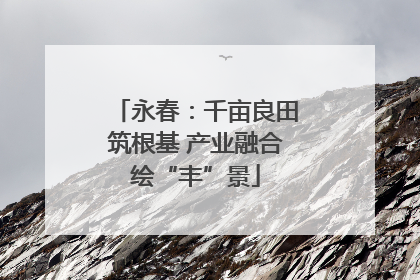 永春：千亩良田筑根基 产业融合绘“丰”景