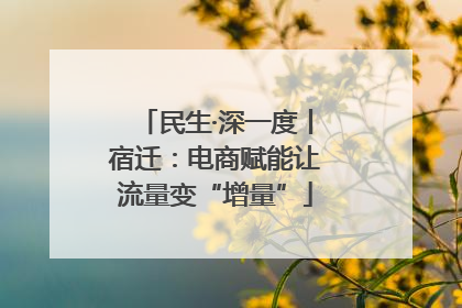 民生·深一度丨宿迁：电商赋能让流量变“增量”