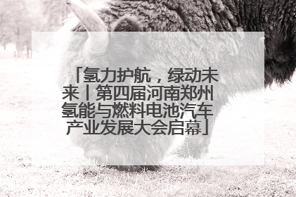 氢力护航，绿动未来丨第四届河南郑州氢能与燃料电池汽车产业发展大会启幕