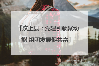 汶上县：党建引领聚动能 组团发展促共富