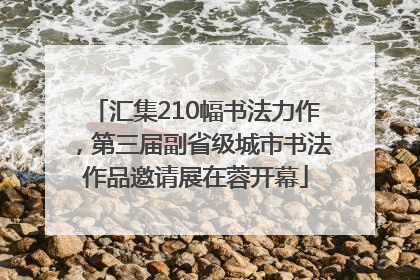 汇集210幅书法力作，第三届副省级城市书法作品邀请展在蓉开幕