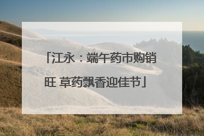 江永：端午药市购销旺 草药飘香迎佳节