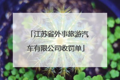 江苏省外事旅游汽车有限公司收罚单