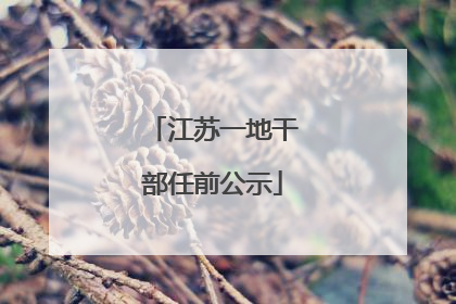 江苏一地干部任前公示
