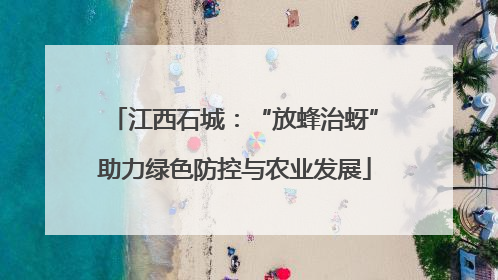 江西石城：“放蜂治蚜”助力绿色防控与农业发展