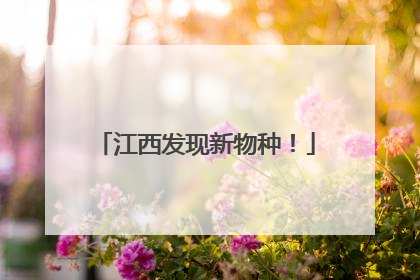 江西发现新物种！