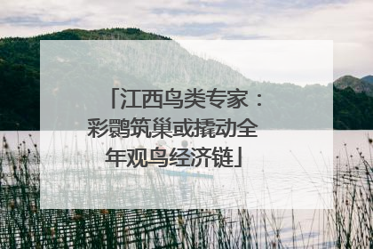 江西鸟类专家：彩鹮筑巢或撬动全年观鸟经济链
