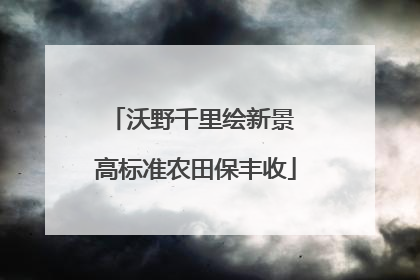 沃野千里绘新景 高标准农田保丰收