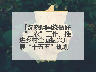 沈晓明围绕做好“三农”工作、推进乡村全面振兴开展“十五五”规划专题调研