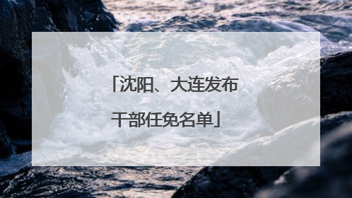 沈阳、大连发布干部任免名单