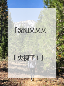 沈阳又又又上央视了！