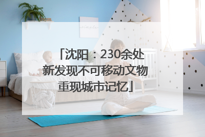 沈阳：230余处新发现不可移动文物重现城市记忆