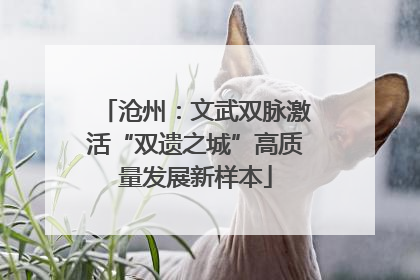 沧州：文武双脉激活“双遗之城”高质量发展新样本