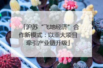 沪苏“飞地经济”合作新模式：以重大项目牵引产业链升级