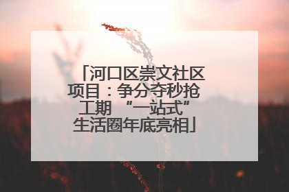 河口区崇文社区项目：争分夺秒抢工期 “一站式”生活圈年底亮相