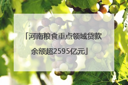 河南粮食重点领域贷款余额超2595亿元
