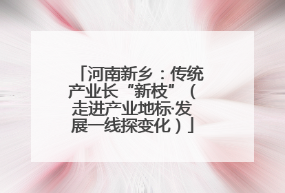 河南新乡：传统产业长“新枝”（走进产业地标·发展一线探变化）