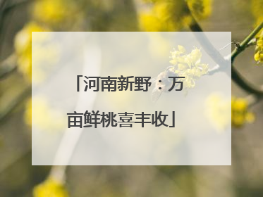 河南新野：万亩鲜桃喜丰收