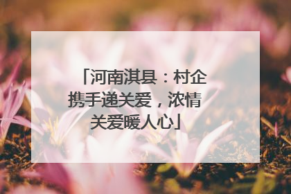 河南淇县：村企携手递关爱，浓情关爱暖人心