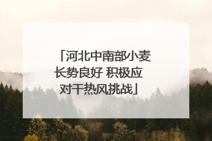 河北中南部小麦长势良好 积极应对干热风挑战