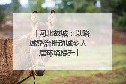 河北故城：以路域整治推动城乡人居环境提升