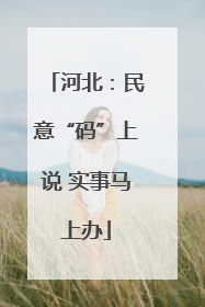 河北：民意“码”上说 实事马上办