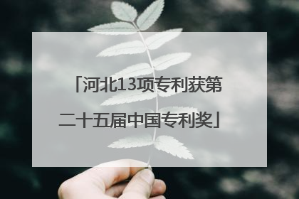 河北13项专利获第二十五届中国专利奖