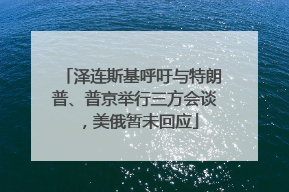 泽连斯基呼吁与特朗普、普京举行三方会谈，美俄暂未回应