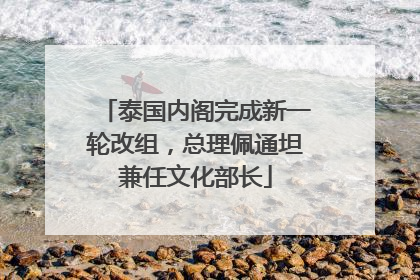 泰国内阁完成新一轮改组，总理佩通坦兼任文化部长