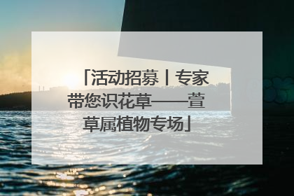 活动招募丨专家带您识花草——萱草属植物专场